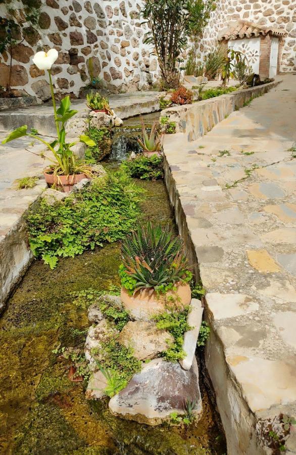 Casa El Patio Del Limon, Con Piscina Villa Montecorto Bagian luar foto